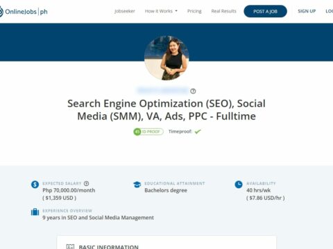 Search Engine Optimization (SEO), Social Media (SMM), VA, Ads, PPC – Fulltime