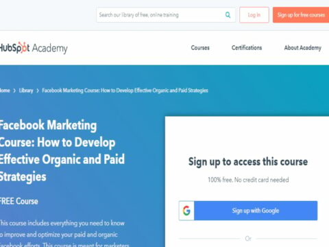 How to Develop Effective Organic and Paid Strategies