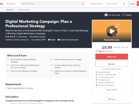 Digital Marketing Campaign: Plan a Professional Strategy